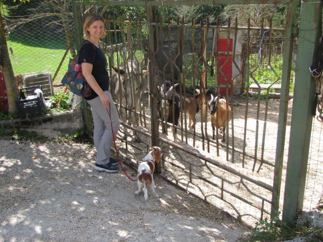 Passeggiata ad Albaneto